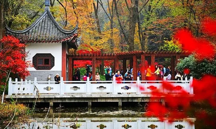 Nanjing Purple Mountain Private Tour with Tangshan Hot Spring Spa Experience