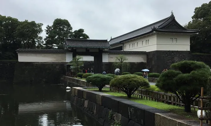 Cherry blossom tour in Tokyo