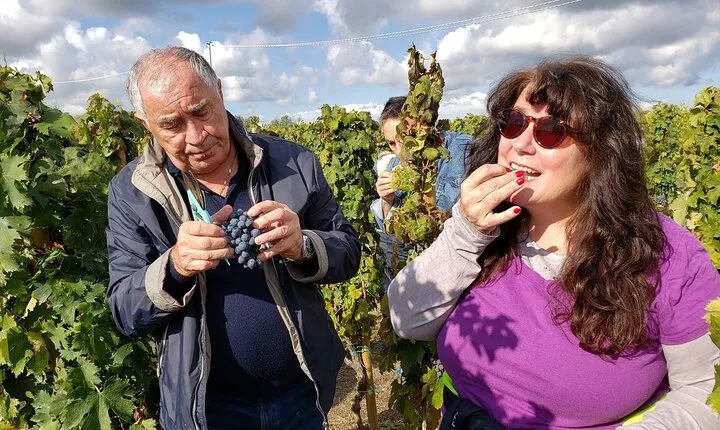 Wild Abruzzo CookingClass and WineTasting from Rome