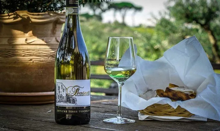 Frascati Wine Tasting Tour: The Flavors of the Roman Countryside