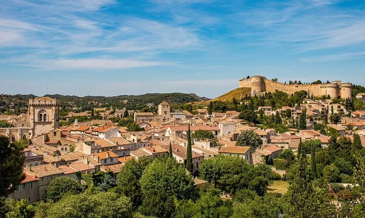 Full-day Avignon Private Tour with Wine Tasting from Marseille