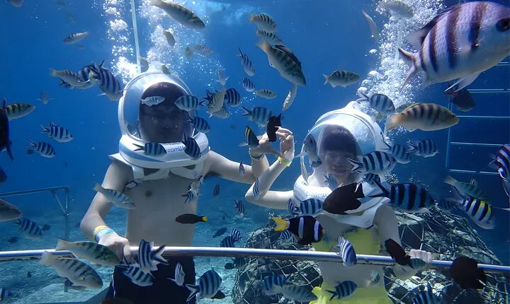 Bali Seawalker + ATV Ride + Spa Packages