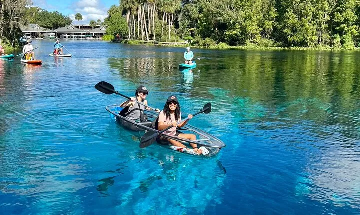 Silver Springs: Clear Kayaking Wildlife Tour