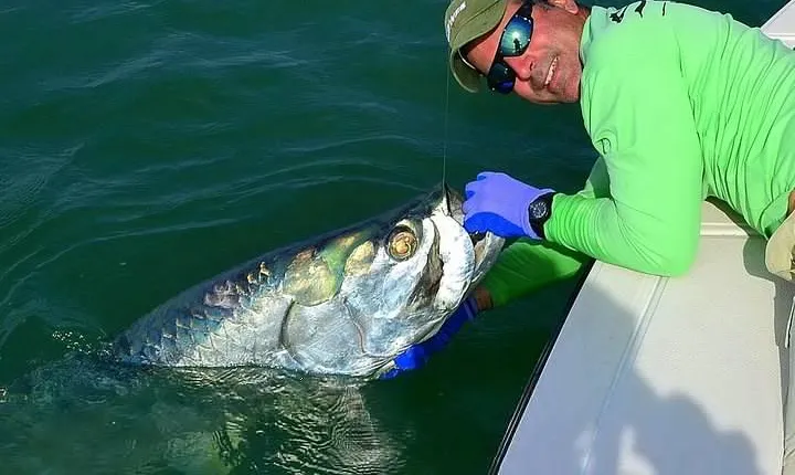 Biscayne Bay Inshore Flats Fishing