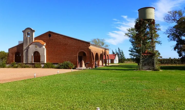 Wine cellar & Tasting in Montevideo with Outstanding Lunch
