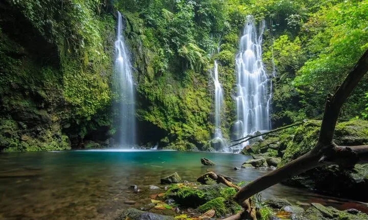 Private Sekumpul Waterfall and Northern Bali Full Day Tour