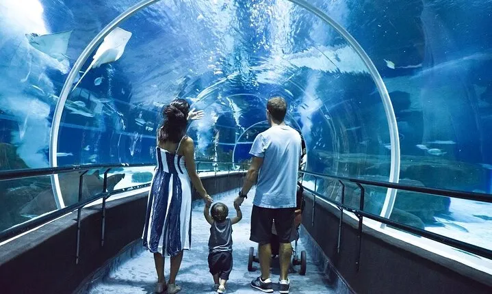 AquaRio, Museum, Boulevard Olimpico, Ferris Wheel, Transport and Tourism Guide.
