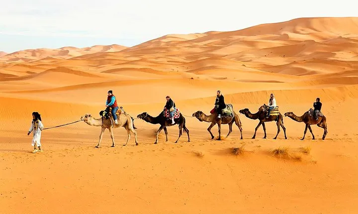 Camel Trekking Dubai with Dune Bashing and Sand Boarding