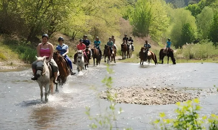 Marmaris Horse Safari