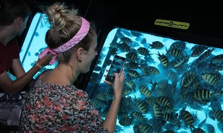 Red Sea Semi-Submarine Adventure with Snorkeling