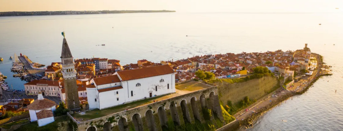 Slovenian Istra wine tour from the Slovenian Coast