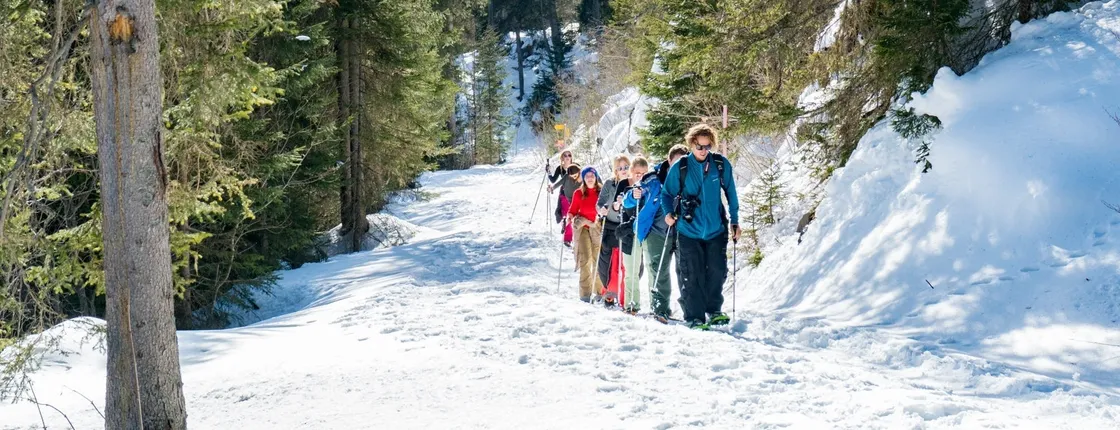 Winter Alpine Adventure in Isenfluh with Lunch