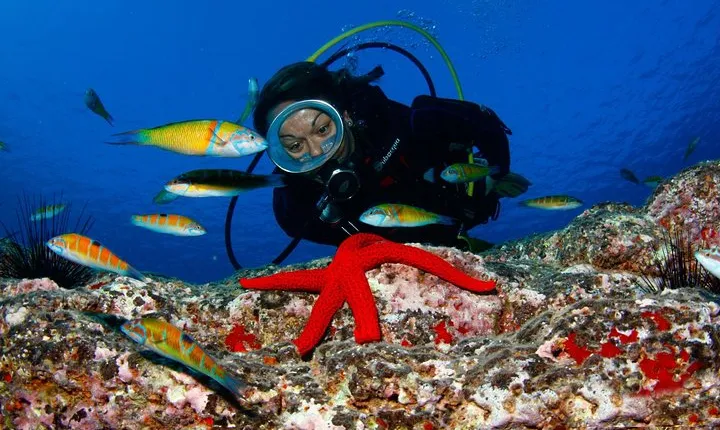 Scuba Diving Baptism in Caleta de Fuste