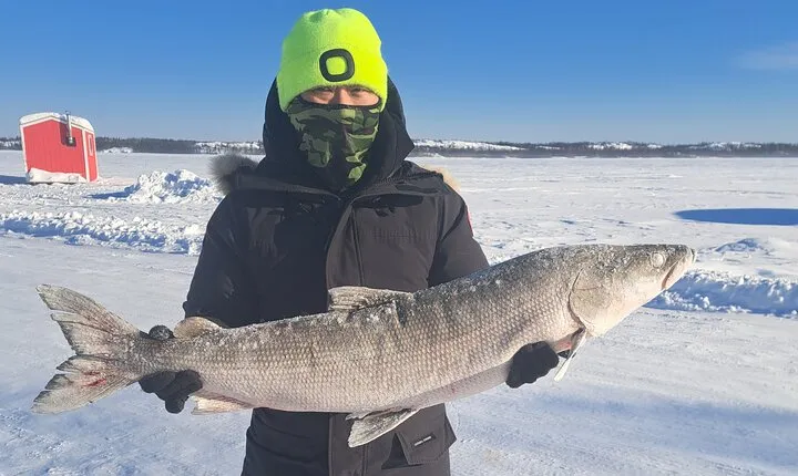 Ultimate Ice Fishing with Jig Fishing Net Pull and Lunch