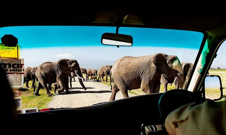 2-Day Amboseli National Park Safari- Daily Departures