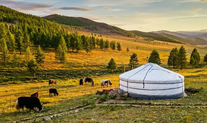 Nomadic Family Experience Day