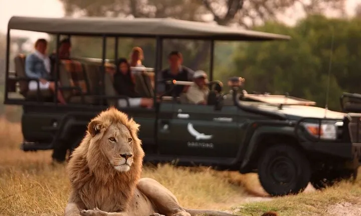 5 Day Small Group Garden Route Tour from Cape Town