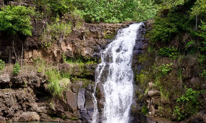 Private North Shore Oahu Tour ft. Waimea Falls-Customizable