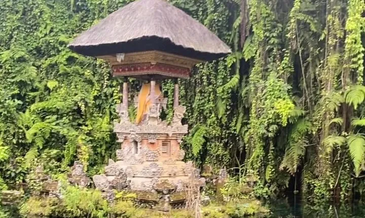 Ubud Tour - Ubud Highlight Culture, Tradition, Nature