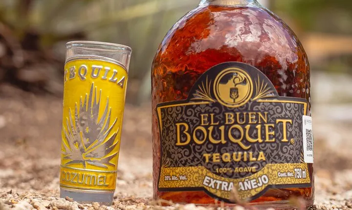 Cenote and Beach Lunch in Cozumel with Bee Tour and ATV Adventure