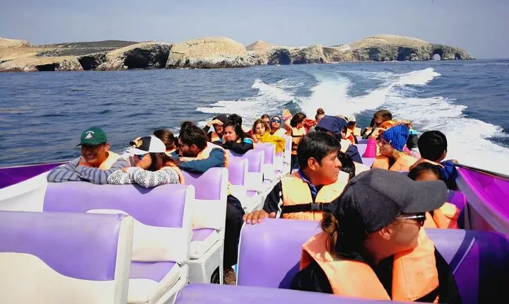 Paracas Fullday - Islas Ballestas y Nationalpark in Minibuggy