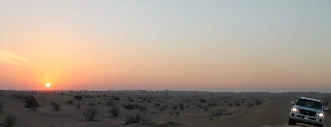 Desert safari and dinner from Abu Dhabi