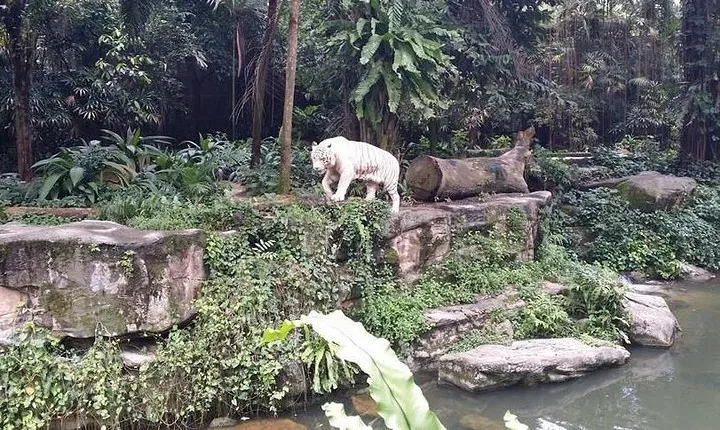 River Wonder with Amazon River Quest, Mandai wildlife Singapore