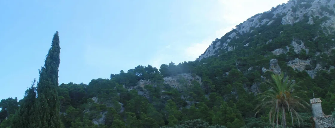 Guided hiking in Valldemossa through Ermites Velles and s'Escolta with Eco Island adventure