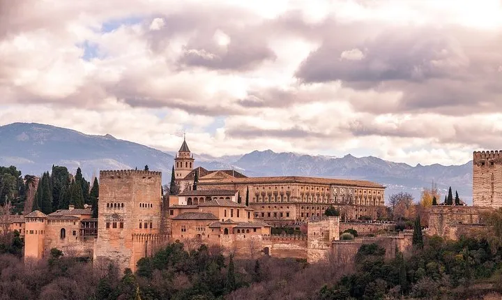 Chino: Alhambra Tour with entrance included (including palaces)