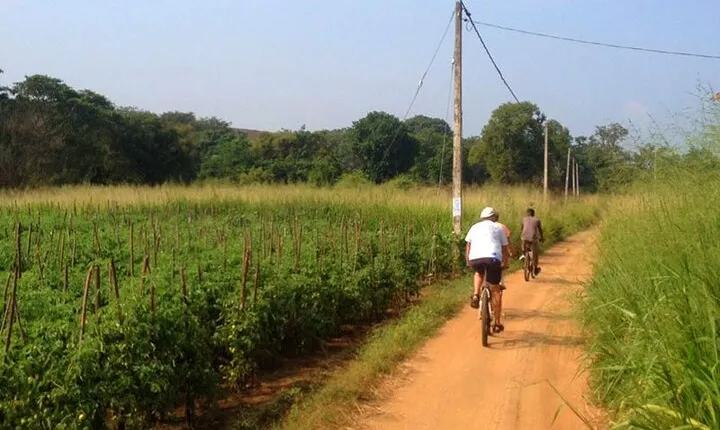 Sigiriya Cycle Safari Tour From Sigiriya