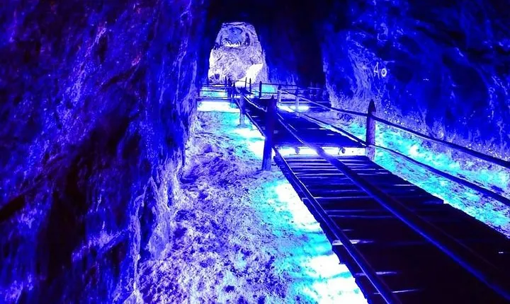 Nemocón Salt Cathedral and Town Tour