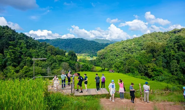 Pha Dok Siew Nature Trail & Doi Inthanon National Park From Chiang Mai