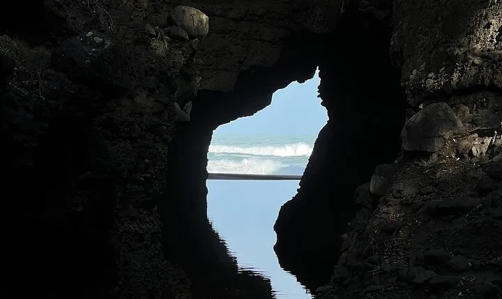 Full Day Exploring the Wild Piha Beach In Auckland 