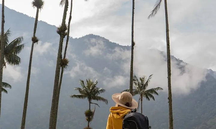 Cocora Valley and Salento Horseback Riding Day Tour