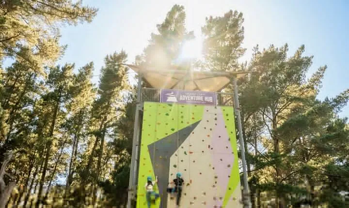 Rock Climb, Zipline and Mega Swing Experience