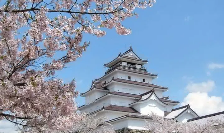 Aizu 6hr Private Tour with Government-Licensed Guide