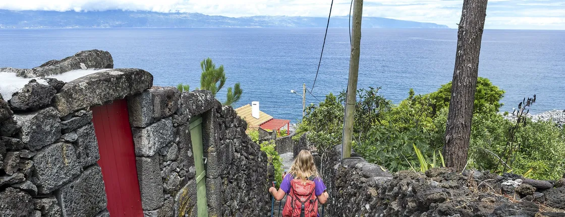 Hiking tour to Caminho dos Burros from Pico Island