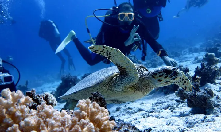 Professional 2 Stops Scuba Diving Full Day Boat Trip - Hurghada