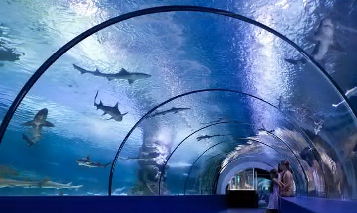 Side: Aquarium, Wax Museum, Snow World, Wild Park, XD Cinema