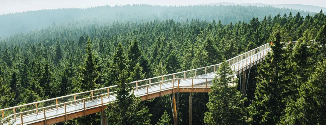 Cultural Centre of European Space Technologies and treetops walk