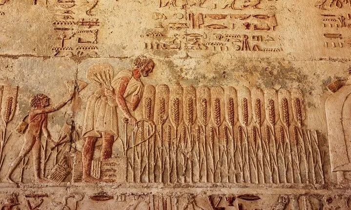 Private Day Tour to El Minya Egypt