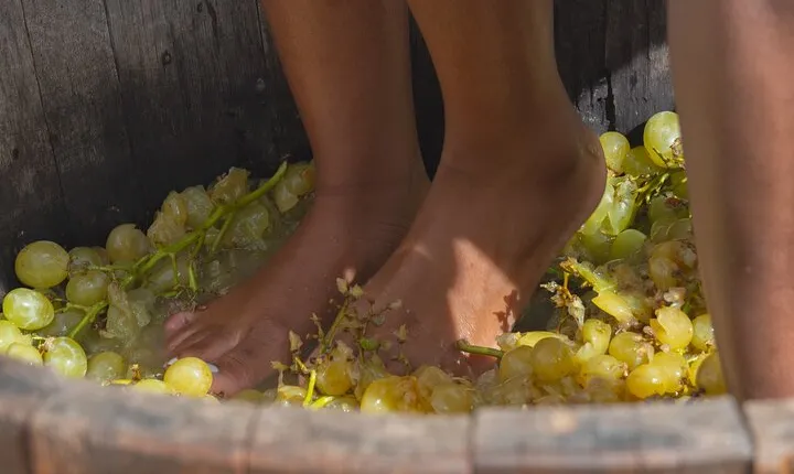 Tuscan Grape Stomping and Wine Tasting Adventure in Chianti