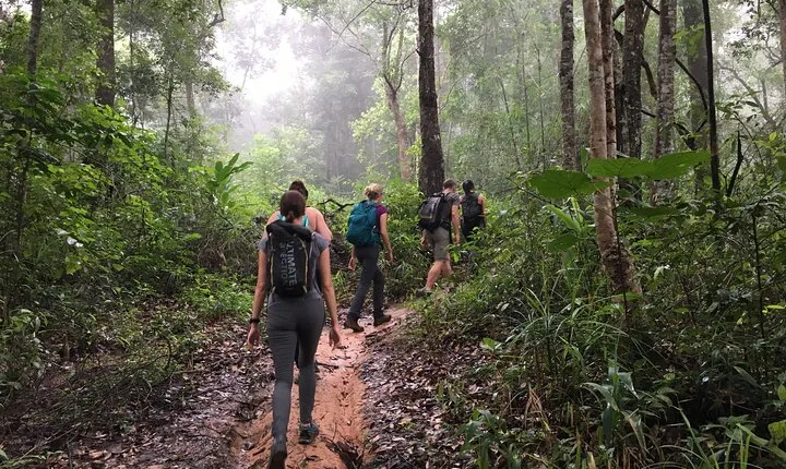 Doi Suthep Pui National Park Hiking From Chiang Mai