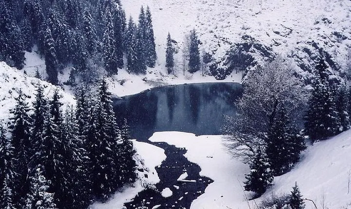 Heaven Lake Day Tour from Urumqi