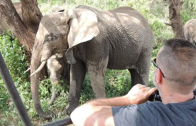 Full-Day Trip to Tarangire National Park