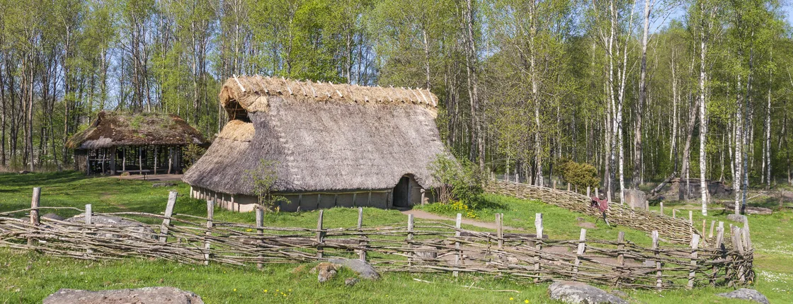 The Stockholm Bronze Age public tour