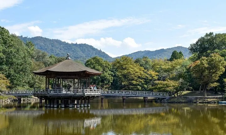 Lake Biwa Shirahige Shrine and Ukimido Day Tour from Osaka Kyoto