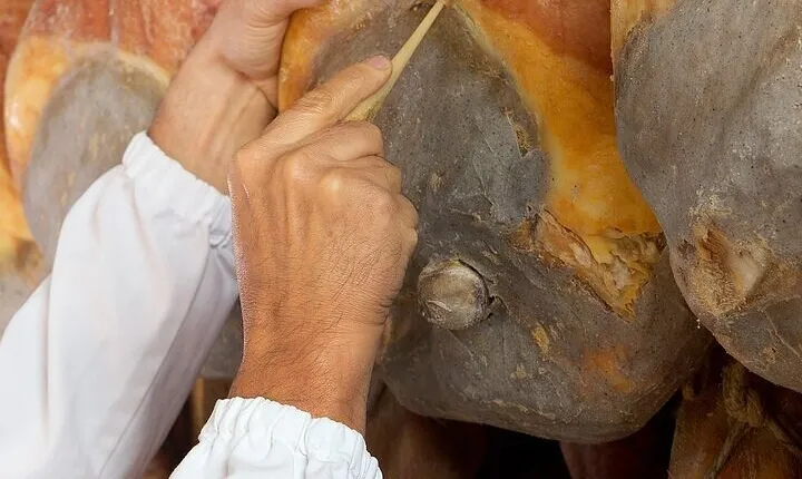 Behind the Scenes at Prosciutto di Parma Producer: Tour & Tasting