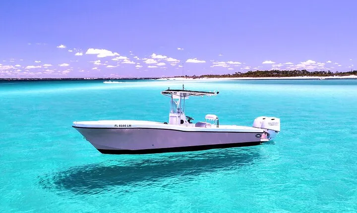 3 Hour Dolphin Tour and Snorkeling in Shell Island