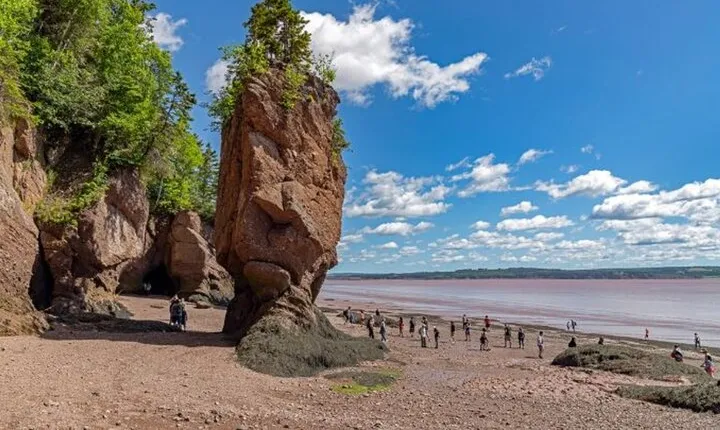 Saint John Bay of Fundy and Hopewell Rocks Private Tour